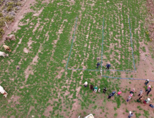SENARI ealizó capacitación práctico en Instalación y Operación de métodos de riego por Aspersión en comunidades de Oruro