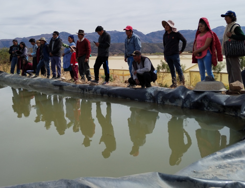 SENARI realizó viaje de intercambio de experiencias con los Facilitadores Comunitarios en Riego de los departamentos de Oruro y Potosí